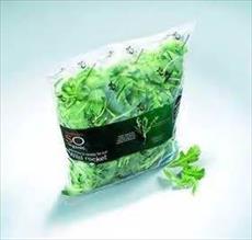 طرح توجيهی فرآوري‌ و بسته‌بندي سبزيجات تازه و خرد شده